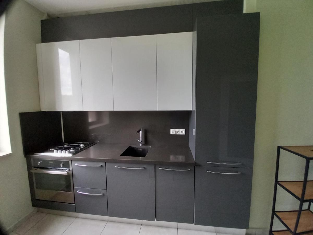 Herastrau Apartment 布加勒斯特 外观 照片