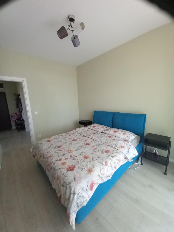 Herastrau Apartment 布加勒斯特 外观 照片