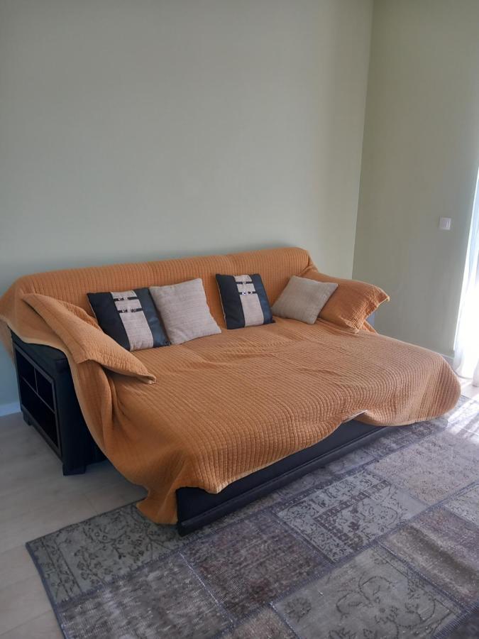 Herastrau Apartment 布加勒斯特 外观 照片