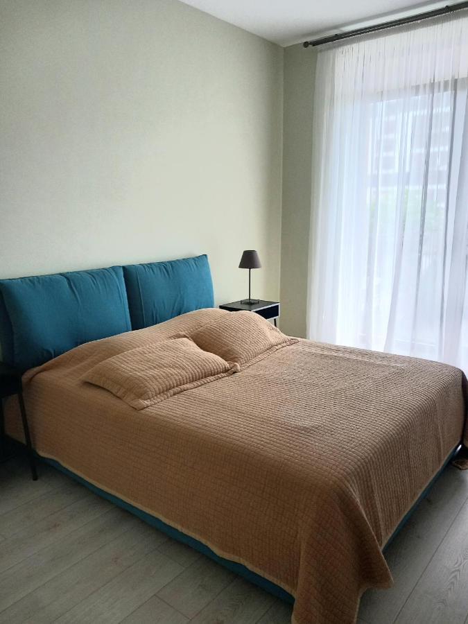 Herastrau Apartment 布加勒斯特 外观 照片
