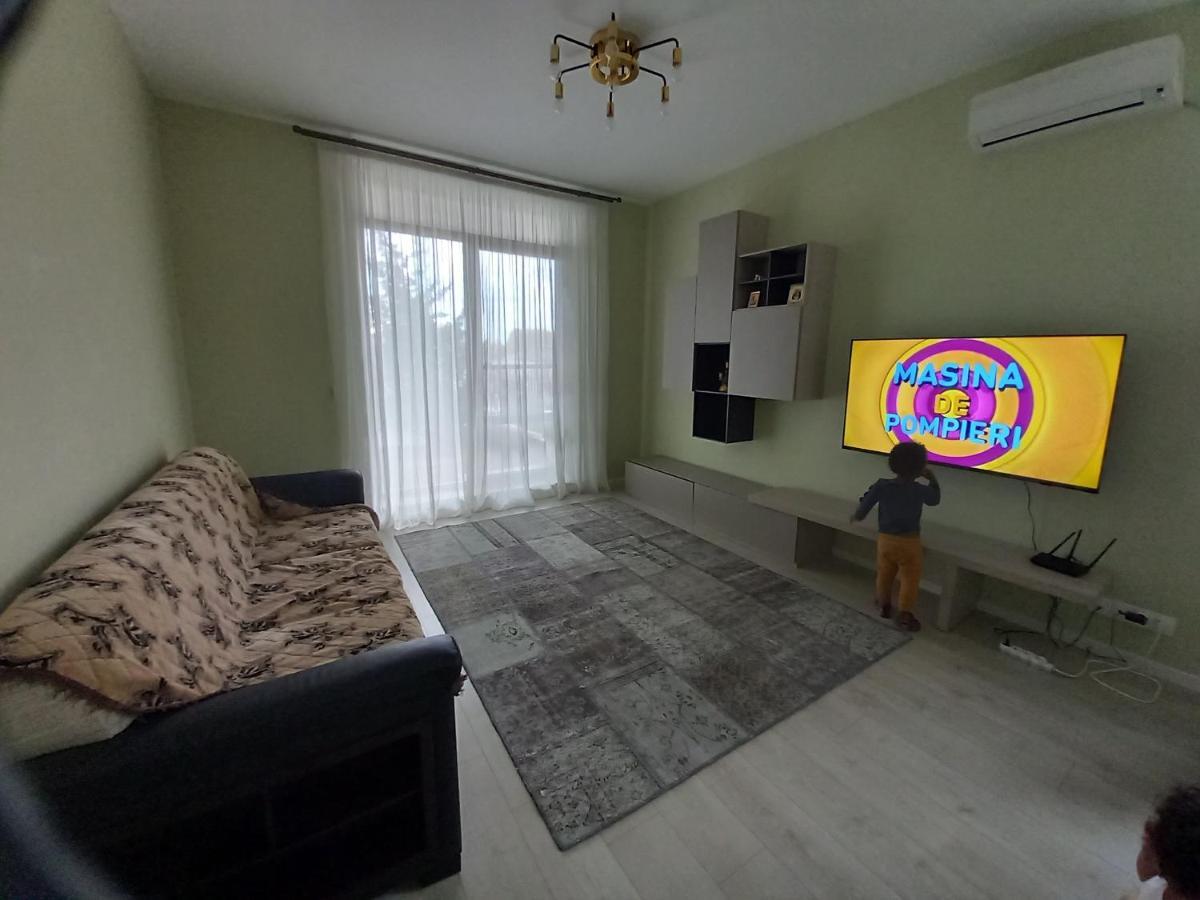 Herastrau Apartment 布加勒斯特 外观 照片